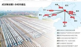 韩国体育圈 9-1-1爆料网,9-1-1爆料网爆出惊人内幕